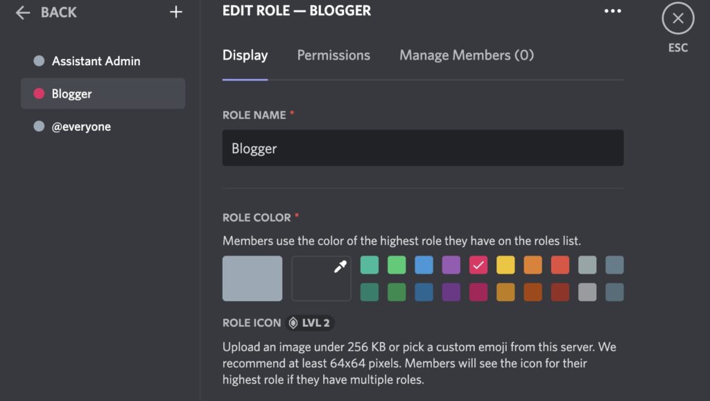 Screenshot of editing a role in the Discord server, the role "Blogger" is selected, and the tab "Display" shows we picked a hard pink for its dot or text color
